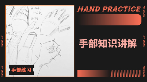（第一课）手部知识讲解