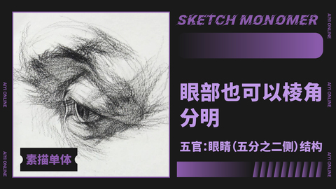 （第十课）眼睛：五官-眼睛（五分之二测）结构