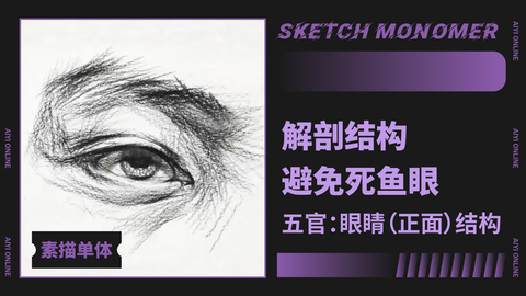 （第九课）眼睛：正面结构