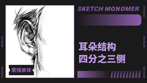 （第二课）耳朵：五官耳朵结构-四分之三侧