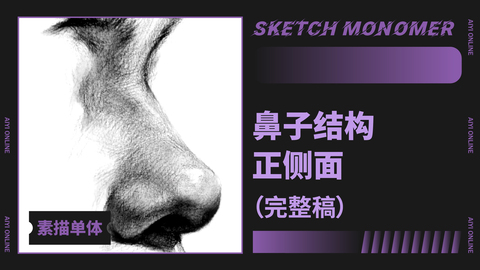 （第七课）鼻子：正侧/全因素完整稿