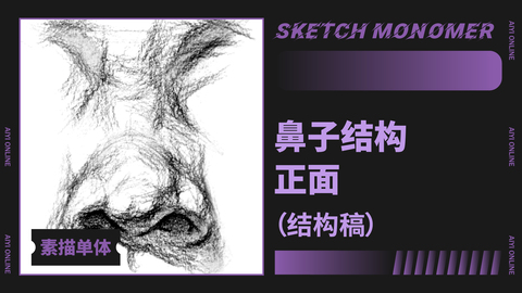 （第五课）鼻子：正面/结构