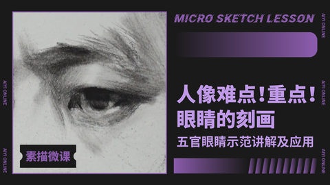 （第十三课）眼睛：结构详解