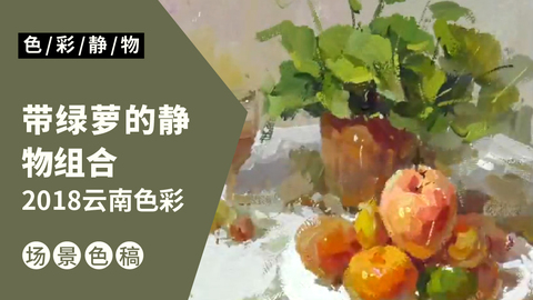 （第十八课）2018云南联考色彩《带绿萝的静物组合》