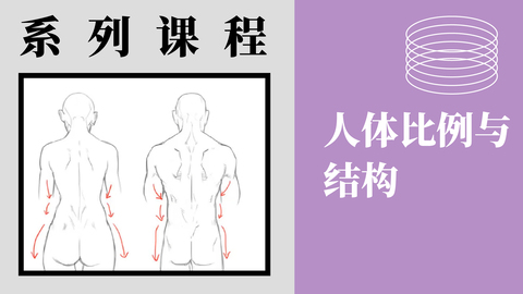 X-2-3人体比例与结构