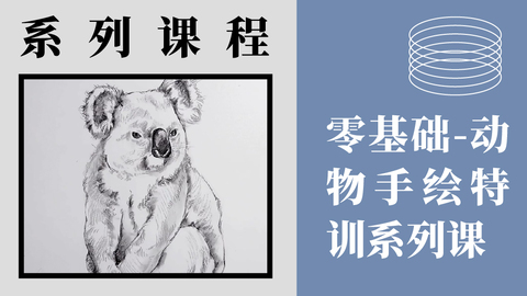 零基础-动物手绘特训系列课