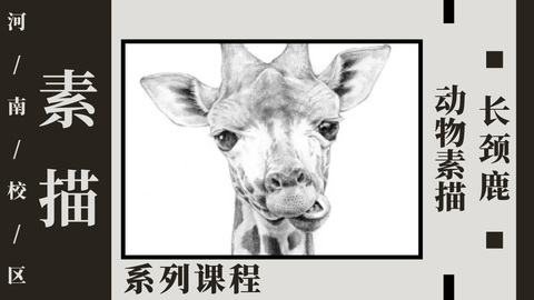 动物素描—长颈鹿