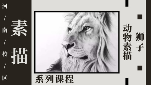 动物素描—狮子