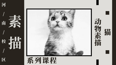 动物素描—猫