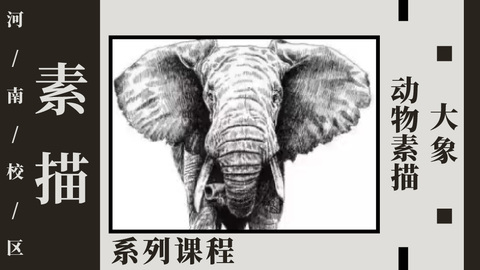 动物素描—大象