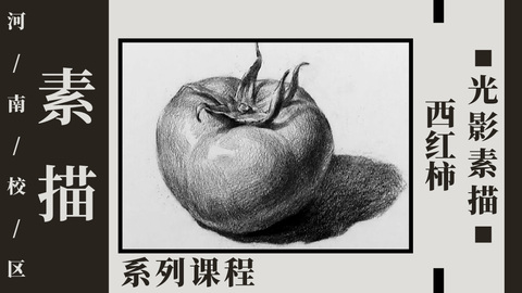 西红柿光影素描