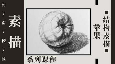 苹果结构素描