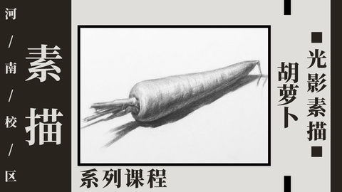 胡萝卜光影素描