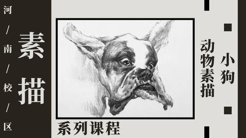 动物素描—小狗