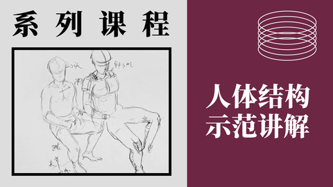 人体结构示范讲解