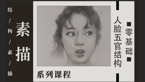 素描人脸五官结构精讲系列