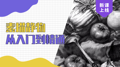 素描静物入门全系列