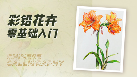 彩铅花卉零基础入门绘画教程