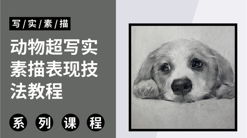 写实素描之动物零基础教程